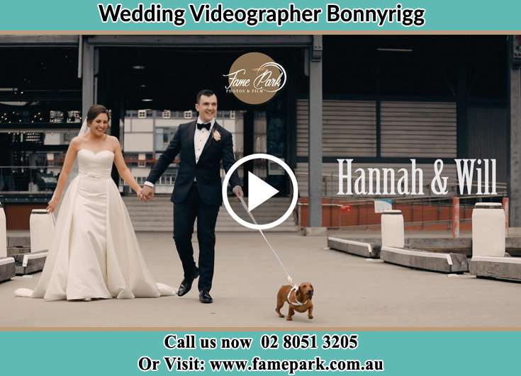 Bride and Groom walking with their dog Bonnyrigg NSW 2177