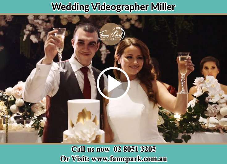 Bride and Groom making a toast at the reception Miller NSW 2168